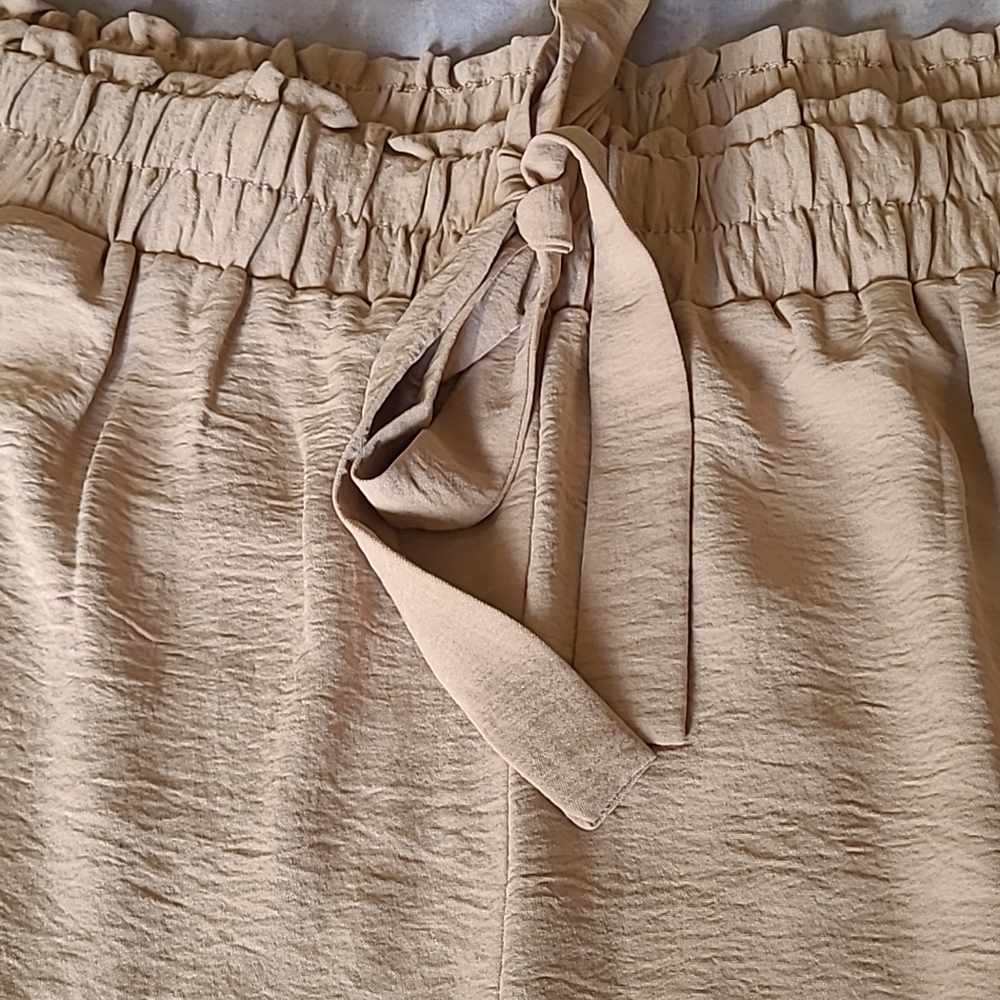 NYCC Jogger Dress Pants, Tan, 3X - Picture 3 of 7